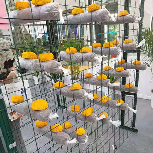 蘑菇架培菌蘑菇养殖网格网架花架网片温室蘑菇养殖网片