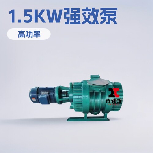 滨州1.1kw罗茨泵30L/S罗茨真空泵ZJP/ZJ溢流阀罗茨式真空机组系统
