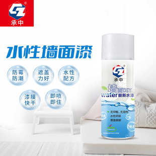 家用内墙污渍涂鸦个性 承中墙面修补翻新自喷修补漆 创意水性涂料