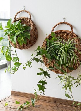 藤编壁挂花篮花盆养花悬挂花瓶
