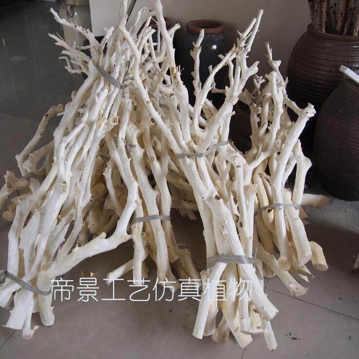 白树枝桔子树剥皮枯树杆干枝干花龙骨店面橱窗摆放装饰60厘米树头