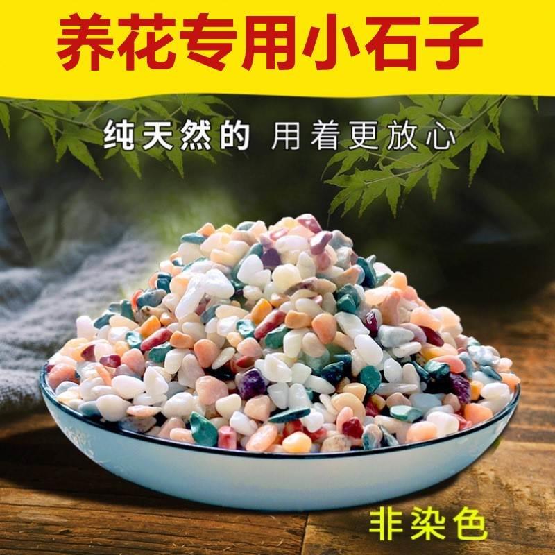 鱼缸底砂造景石头铺底沙石水族箱装饰套餐小摆件彩石五彩色砂石子