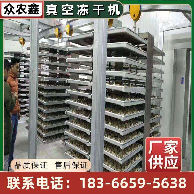 菌汤包真空冻干设备菌类猴头菇香菇羊肚菌菌类冬虫夏草冻干机