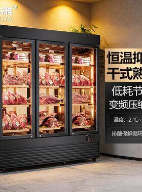 商用西餐厅肉类熟成恒温恒湿冷藏柜保鲜冰箱风冷干式牛肉熟成柜