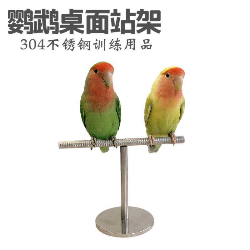 鹦鹉训练桌面站架玄凤牡丹虎皮磨爪不锈钢鸟用站杆中小型结实耐用