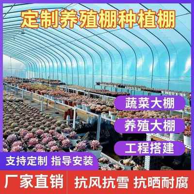 温室大棚骨架钢管养殖种植家用全套猪鸡舍钢架连栋配件简易蔬菜棚