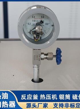 热油电锅炉防爆 热油热器双SH-03110导泵化工加反应釜用导热油导