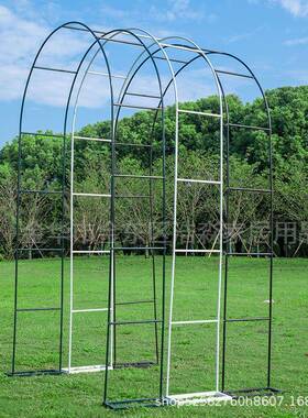 墨绿色葡萄架铁艺月季拱门花架爬藤架攀爬植物花卉支架杆底座户外