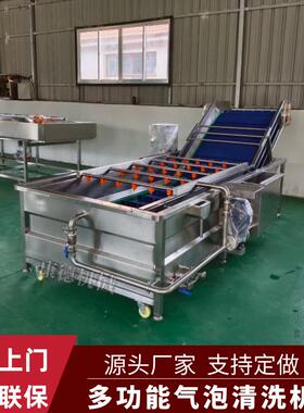 连续式蒜米气泡清洗机萝卜丁萝卜条脱盐清洗机线椒辣椒清洗机
