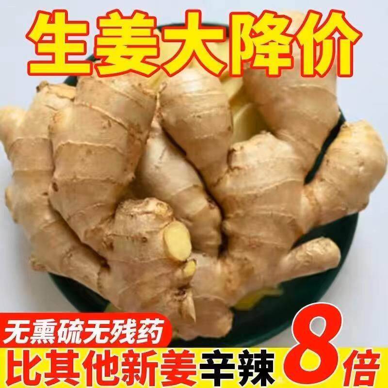 山东大姜老姜生姜2新鲜大黄姜土姜现挖子姜嫩姜鲜姜嫩姜牙5斤包邮