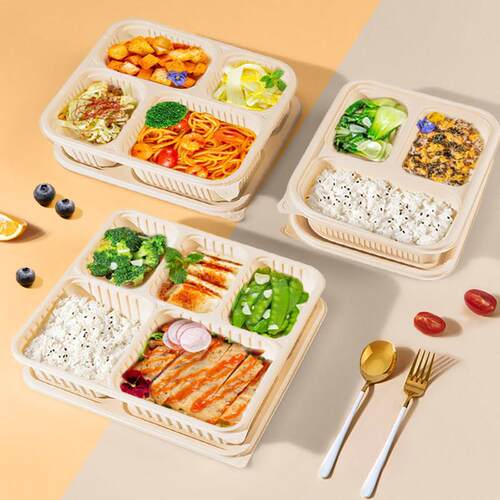 新款外送打包盒4格5格一次性饭盒商用食品环保玉米淀粉可降解餐盒
