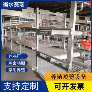 鸡笼肉鸡笼全自动肉鸡笼热镀锌肉鸡笼养殖场用自动肉鸡笼
