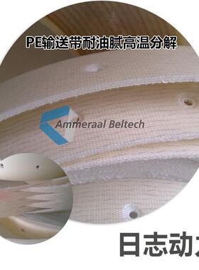 PEFLEXESM10/20+P32TranspAS5.4MMPE输送带PE2M1870透明