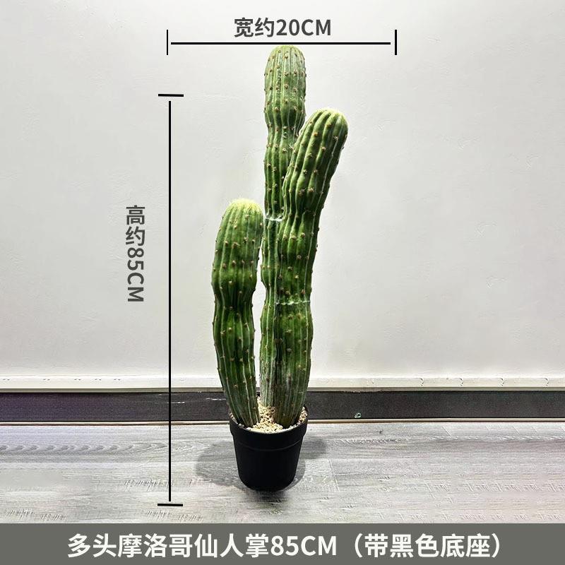 仿真仙人掌巨型仙人掌墨西窗哥仙人柱沙假绿漠植盆仙人掌系橱造栽