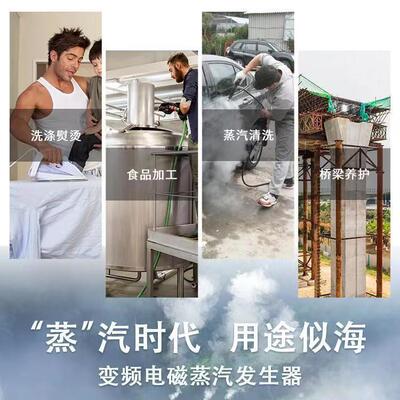 变频磁蒸汽锅炉大 蒸汽生器 常压承压中小型专业电VUT制发造