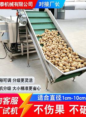 紫薯山竹滚杠分选机洋葱土豆马蹄自动分级机柠檬芦柑橙子筛果机