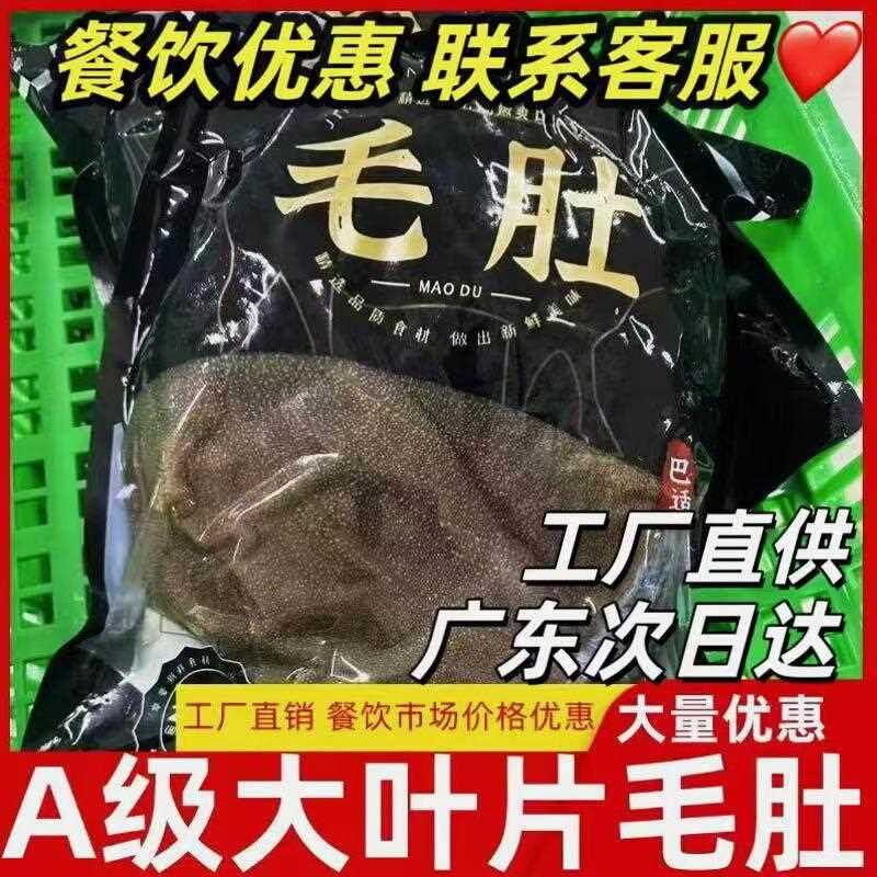 A级大叶片毛肚新鲜牛百叶牛肚毛肚火锅专用餐饮毛肚叶片商用
