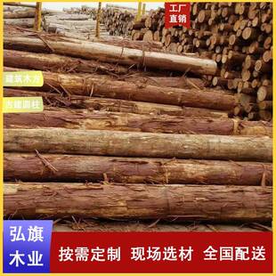 港口直发桧木原木古建寺庙防腐圆柱圆木桧木实木烘干板材家具材
