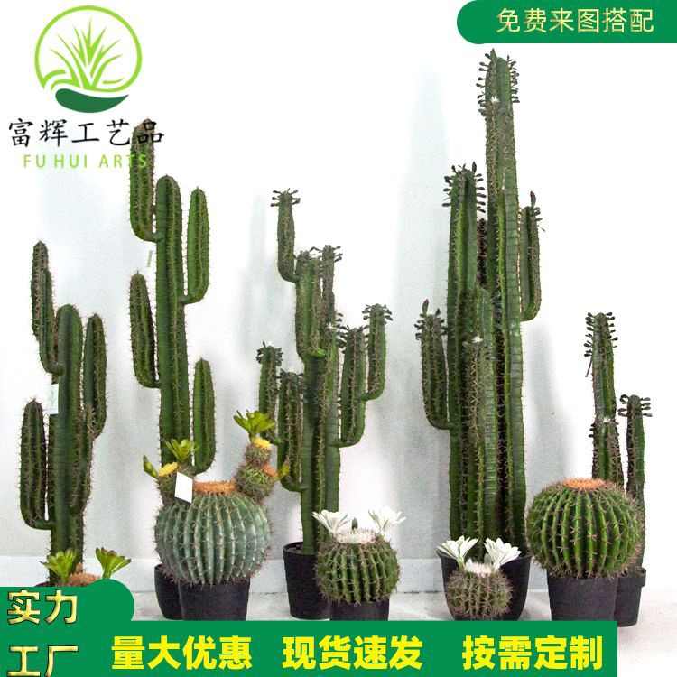 仿真注塑仙人掌仙人球仙人柱盆栽组合造景装饰拍摄道具批发厂家
