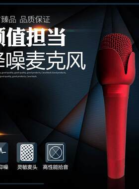 室外玫瑰花瓣麦克风动圈麦有线话筒抗噪声卡配套直播设备可接音箱