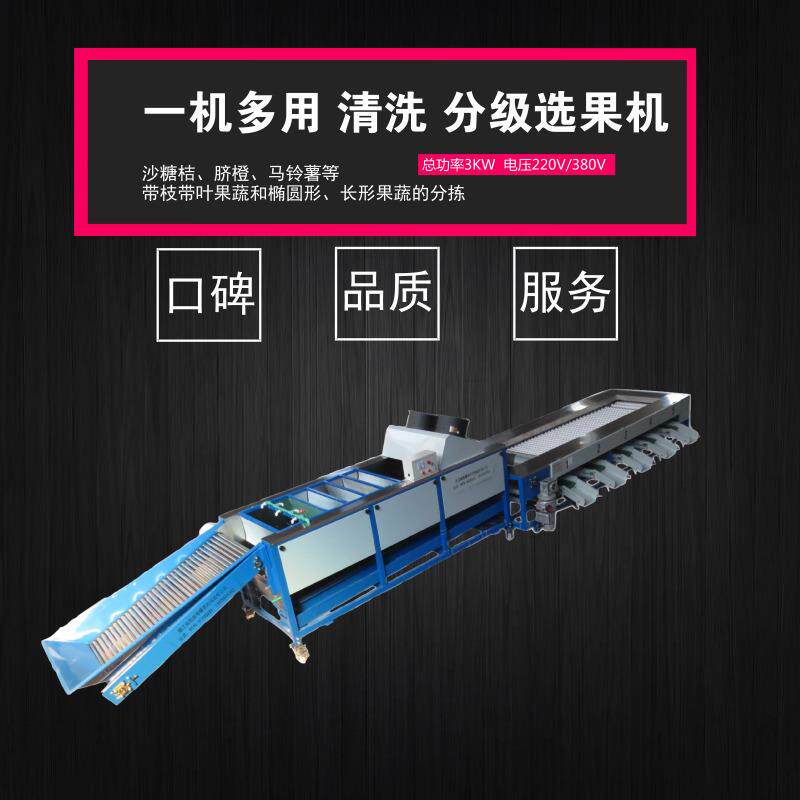 砂糖橘清洗分级选果机杏子选果机金枝分级机水果机
