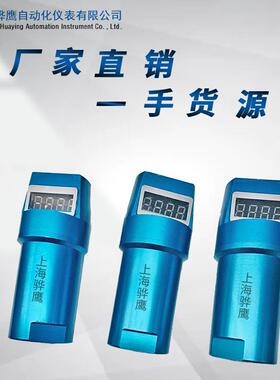 Y器ZNB-A5-1-C3-Ds6-E1-F1一体YZNB-A5-化数显振动变送0-20mBm/骅