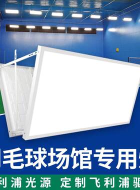 LED防炫目羽毛球场馆专用灯无频闪直播房无影篮球排球网球羽乒乓