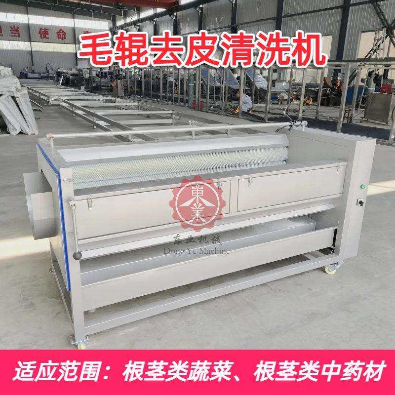 毛辊式南园姜清洗机大产量地螺丝清洗设备宝塔菜毛刷清洗机