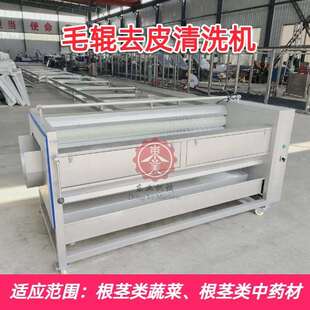 毛辊式南园姜清洗机大产量地螺丝清洗设备宝塔菜毛刷清洗机
