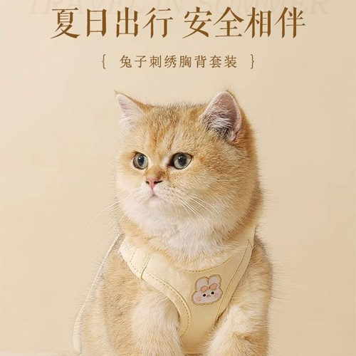 猫咪牵引宠物舒适背心猫牵引绳