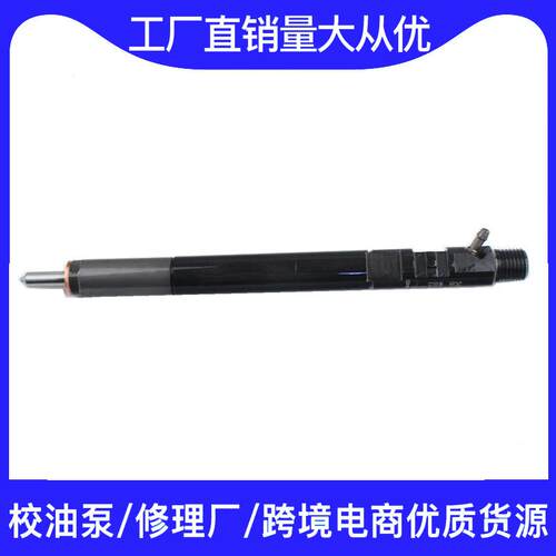 EJBR04601D 德尔福系统喷油器总成常配 L138PBD喷油嘴4601D