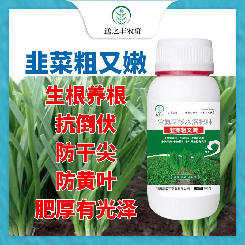 韭菜专用肥韭菜粗又嫩直立挺拔素叶片黑绿硬朗抗倒伏防干尖黄叶等