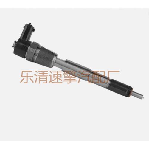ALFA/ROMEO柴油高压共轨喷油器总成喷油嘴0445110243