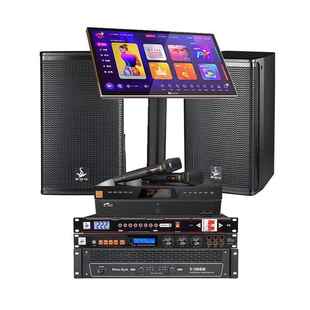 tkv专业音响套装 商业酒家用会吧666议室舞蹈室音设响备全套