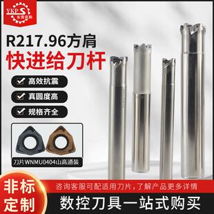 R217.96方肩铣刀杆MFWN04双面六角快进给铣刀杆 山高WNMU0404刀片