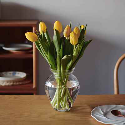 收集时光Camussay为家而生手工玻璃大花瓶绣球洋甘菊包邮同人AI