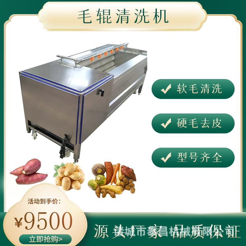 萝卜毛辊清洗机桔梗土豆脱皮机洗姜机洋芋去皮清洗设备红薯清洗机