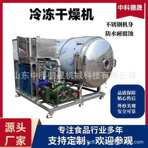 中科德晟真空冷冻干燥机 食品果蔬冷冻干燥设备 果蔬冷冻设备