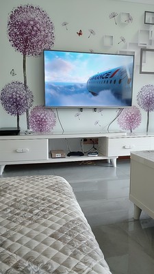 来比下电视TCL55v2和海信55E52D哪个好，优缺点区别是？