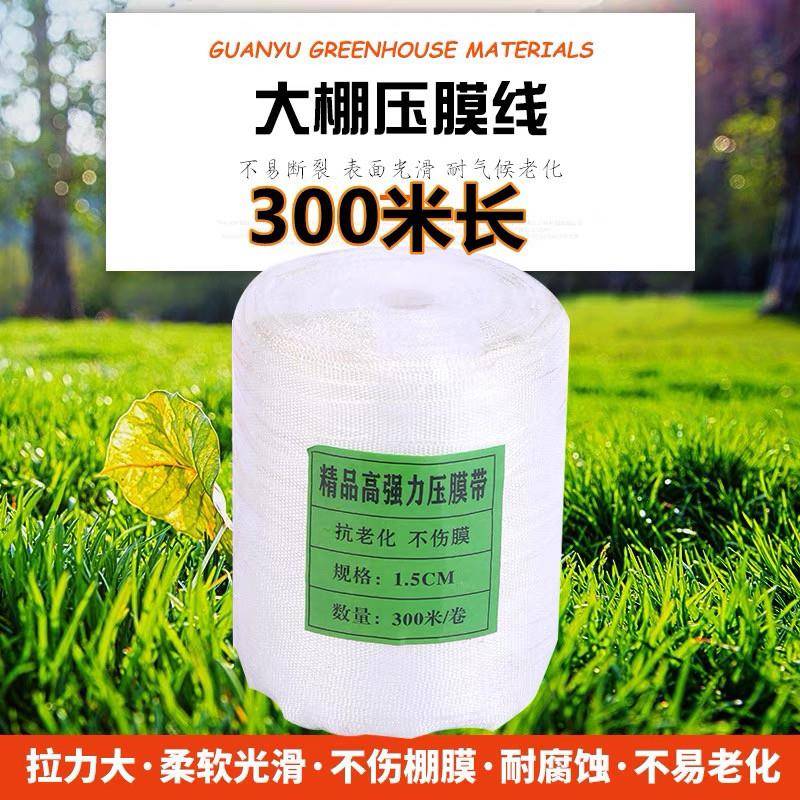 大棚压膜绳压膜带压膜线抗老化白色涤纶大棚风口绳防风绳耐磨绳