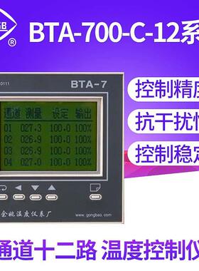 供应BTA-700-C-12系列多通道十二路温度控制仪表数显温度调节仪