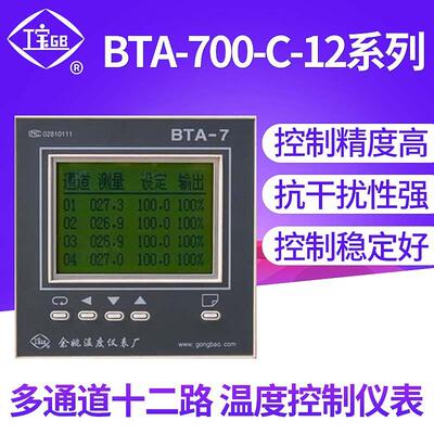 供应BTA-700-C-12系列多通道十二路温度控制仪表数显温度调节仪