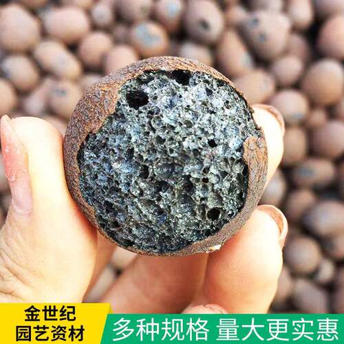 陶粒养花专用通用型花盆垫底空心园艺水培多肉花卉颗粒铺面