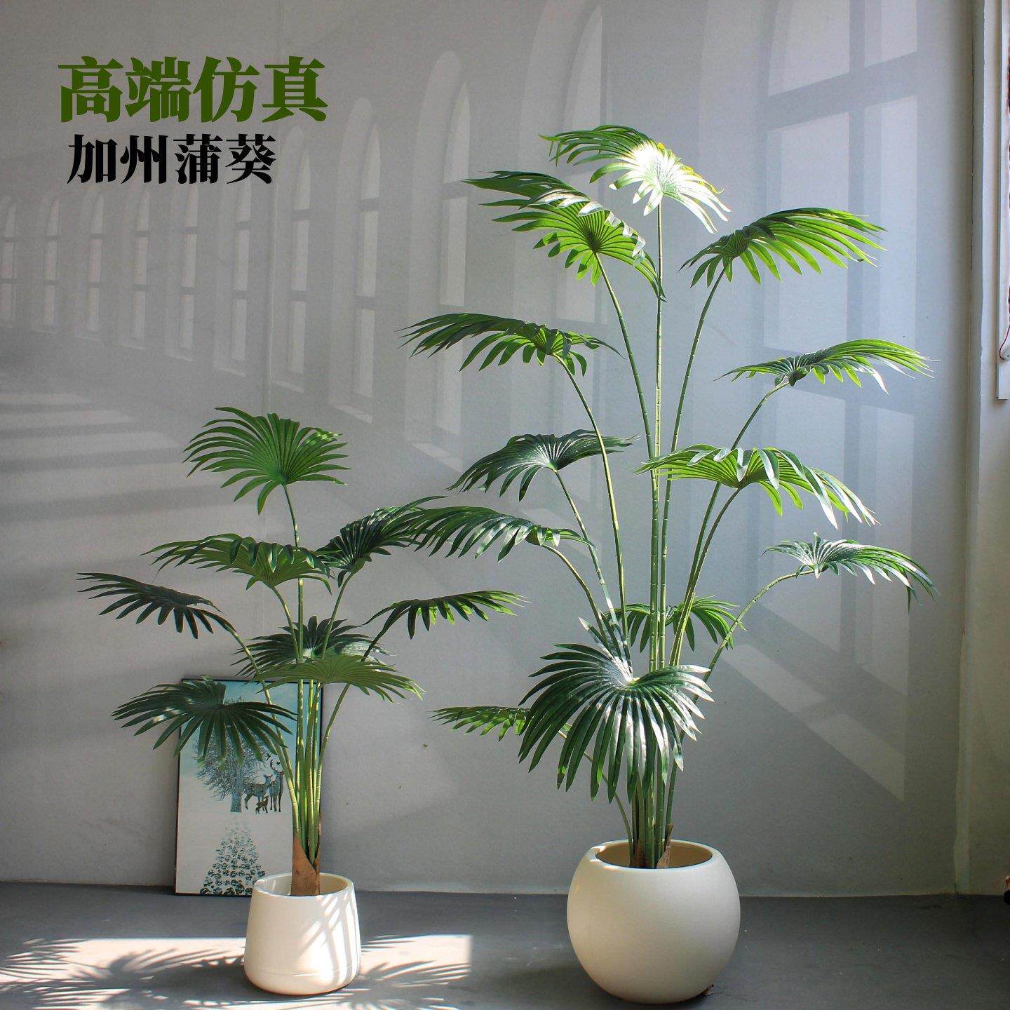 高端仿真绿植加州蒲葵盆栽大型室内客厅酒店网红装饰景观植物摆件