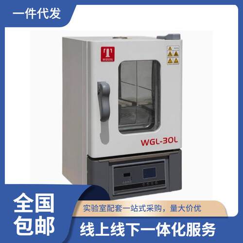 福建总代泰斯特实验室烘箱WGL-30D/45D/65D高温鼓风干燥箱300℃