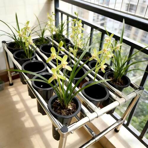 不锈钢兰花架阳台专用花架控根盆兰花盆架室外防锈花盆架置物架