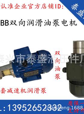 LB-BB10/4/6双向摆线齿轮油泵带电机装置LB-BB16/25/20/32三相BBS
