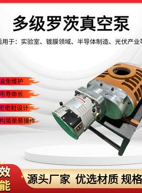 全球牛真空泵罗茨电动变频高效氧气泵增压泵注氧仪不锈钢低噪音