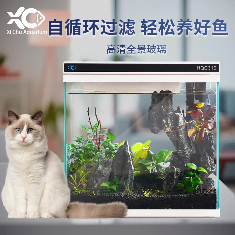 西楚2025新款玻璃鱼缸客厅家用小型金鱼缸懒人免换水桌面水族箱