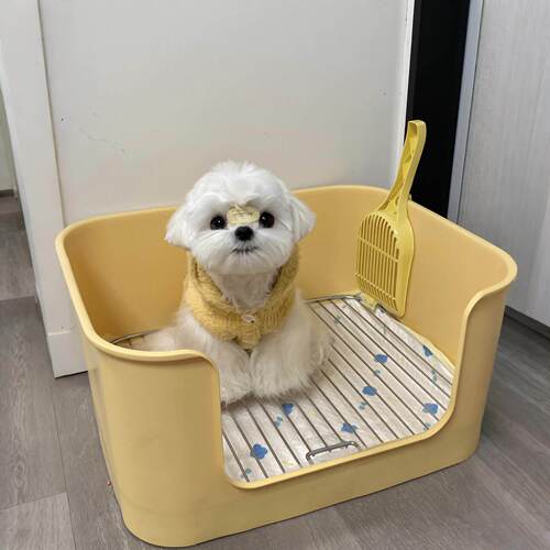 宠物狗厕所小型犬定点上厕所神器高围栏防外溅尿盆马尔济斯狗砂盆